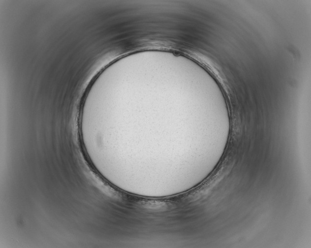 X0000112051235200909010936