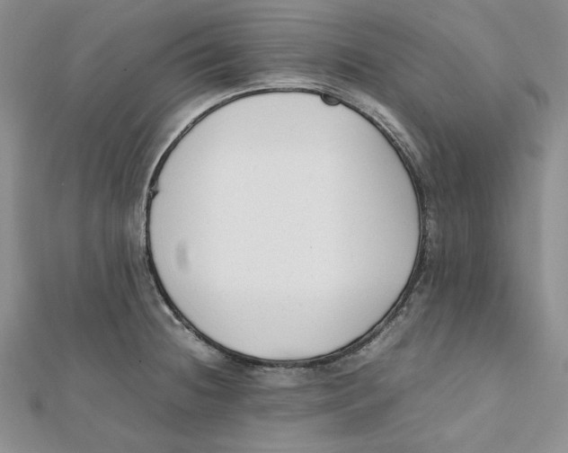 X0000112051236200909010936