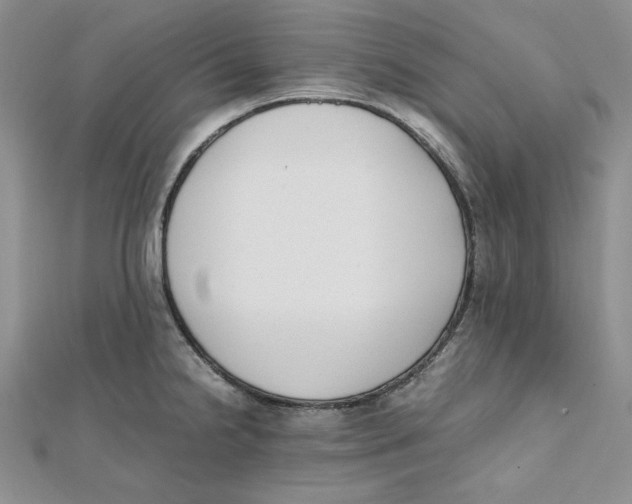 X0000112051238200909010936