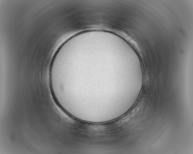 X0000112051239200909010936