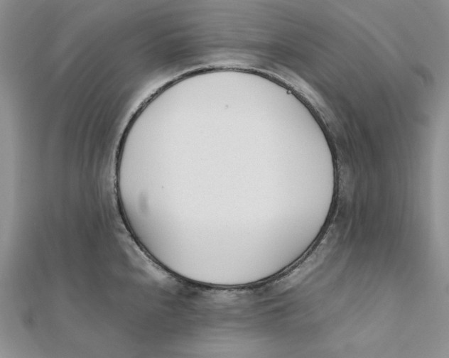 X0000112051240200909010936