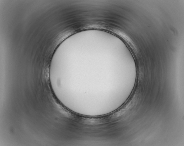X0000112051241200909010936