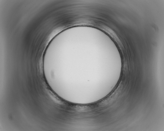 X0000112051242200909010936
