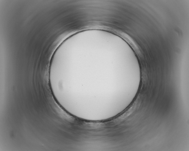 X0000112051244200909010936
