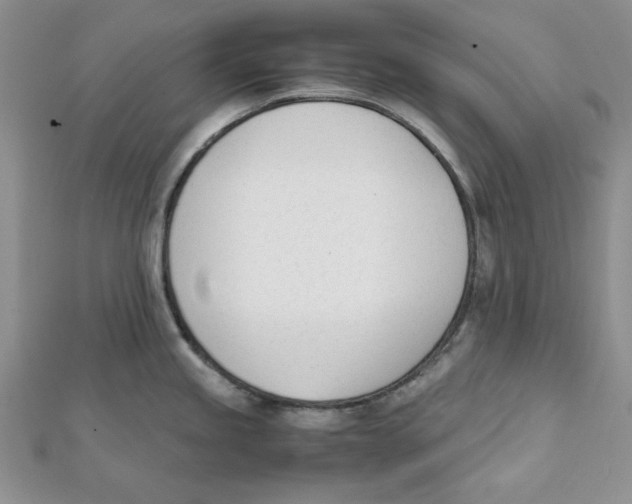 X0000112051245200909010936