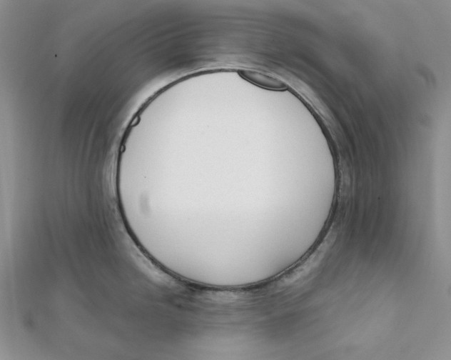 X0000112051246200909010936