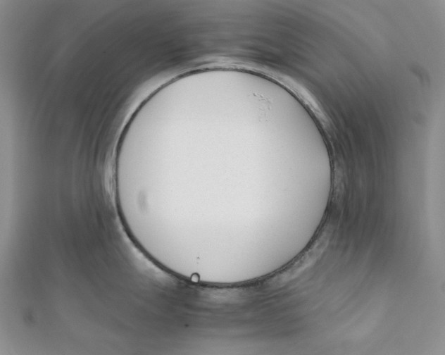 X0000112051247200909010936