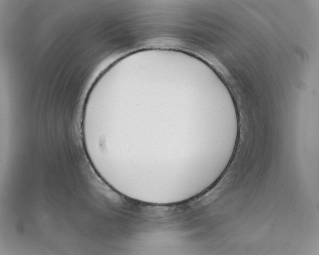 X0000112051248200909010936