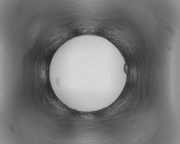 X0000112051250200909010935