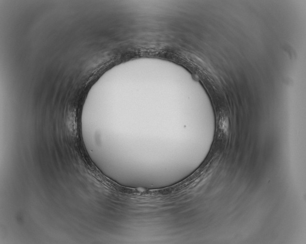 X0000112051252200909010935