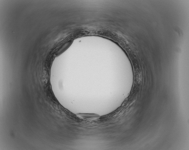 X0000112051253200909010935