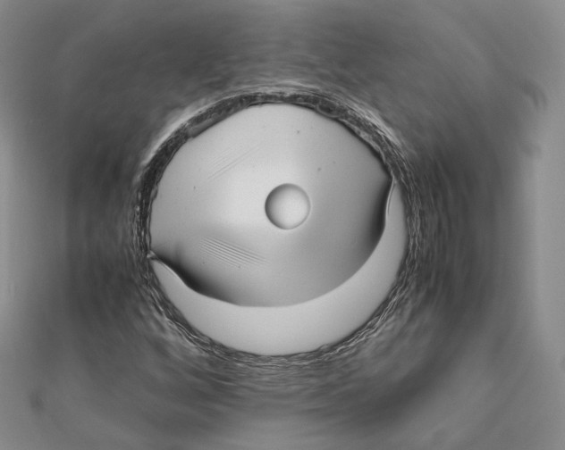 X0000112051256200909010935