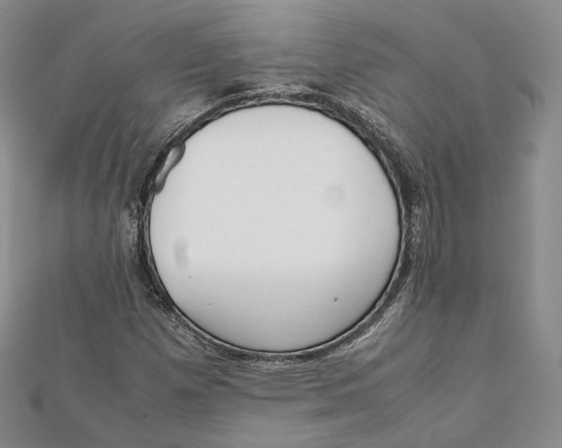 X0000112051257200909010935