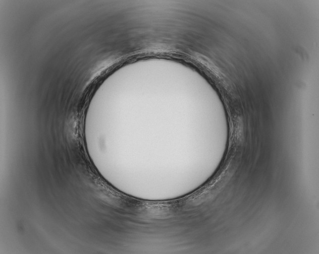 X0000112051258200909010935