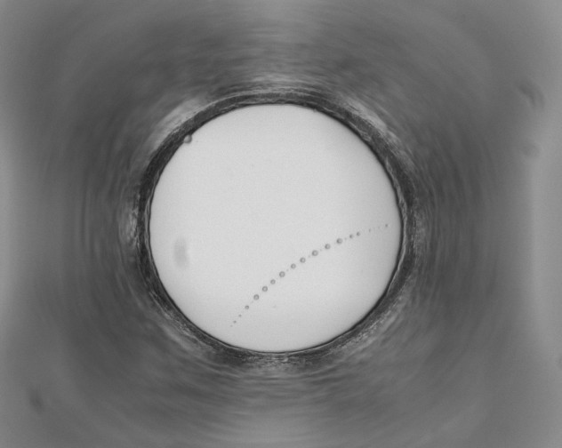 X0000112051259200909010935
