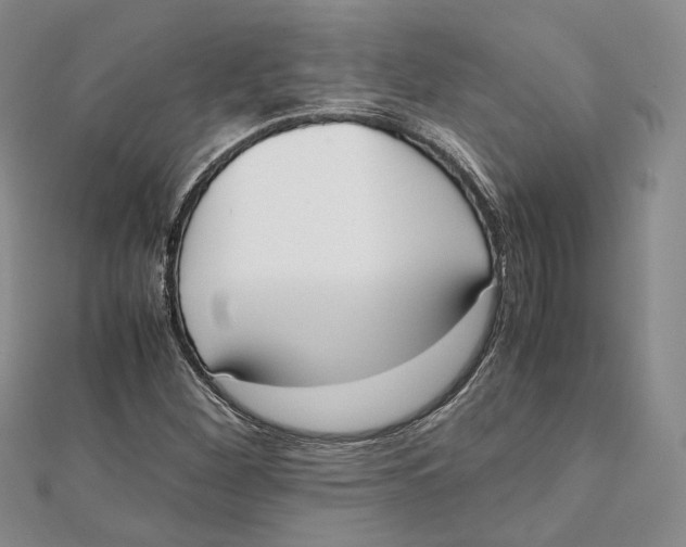 X0000112051260200909010935