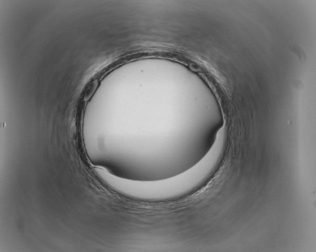X0000112051261200909010935