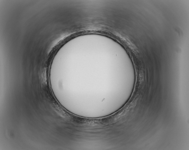 X0000112051262200909010935