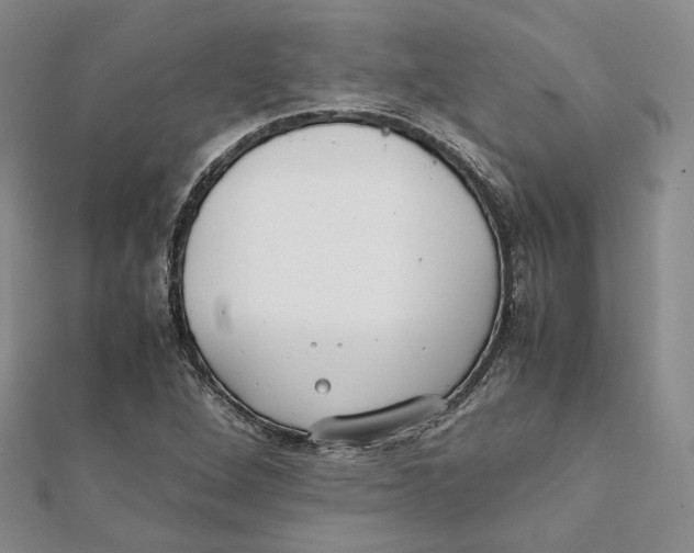 X0000112051264200909010935