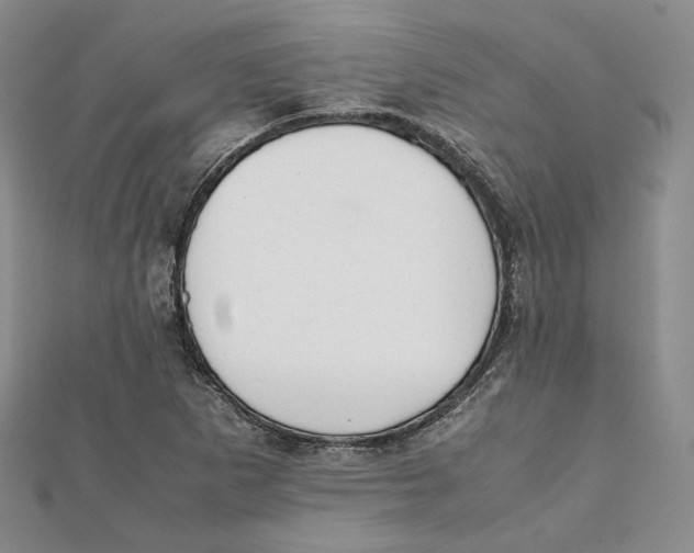 X0000112051265200909010935