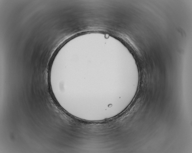 X0000112051268200909010935