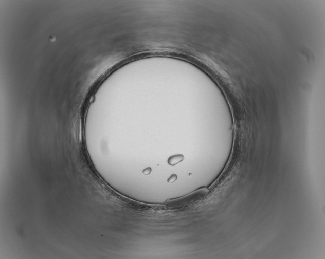 X0000112051269200909010935