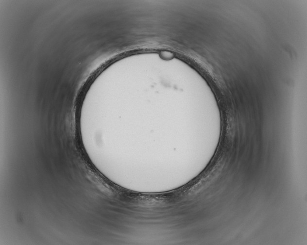 X0000112051270200909010935