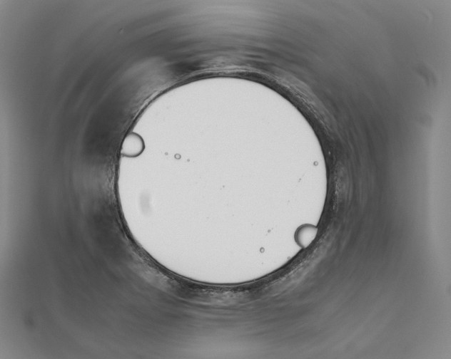 X0000112051273200909010935