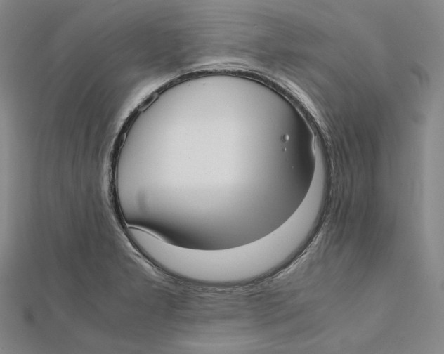 X0000112051277200909010935