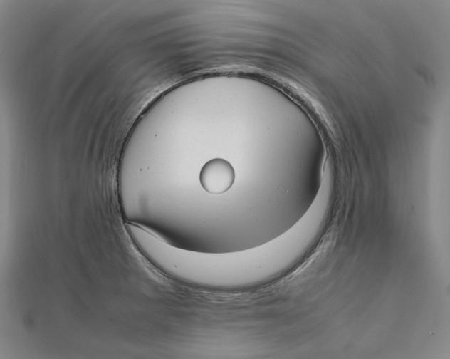 X0000112051281200909010935