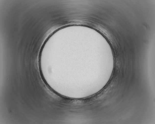 X0000112051283200909010935