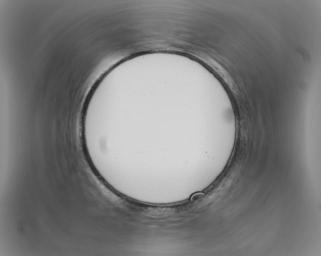 X0000112051285200909010935