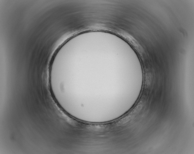 X0000112051286200909010935