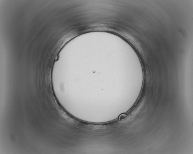 X0000112051289200909010935