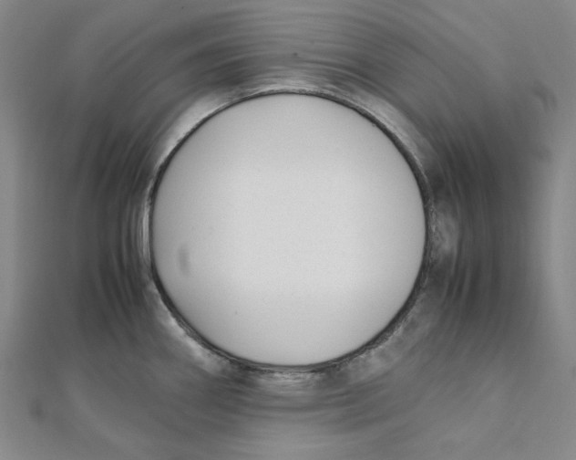 X0000112051290200909010935