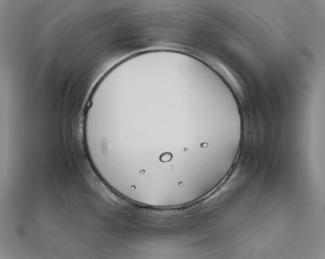 X0000112051292200909010935