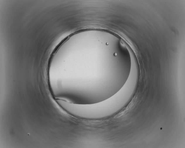 X0000112051293200909010935