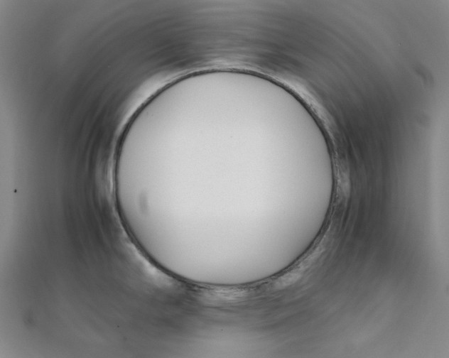 X0000112051294200909010935