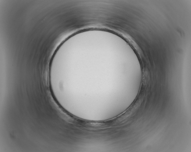 X0000112051295200909010935