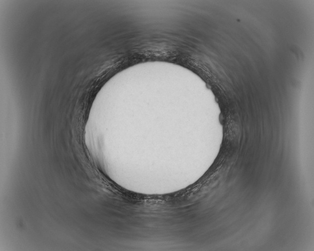 X0000112051297200909010934