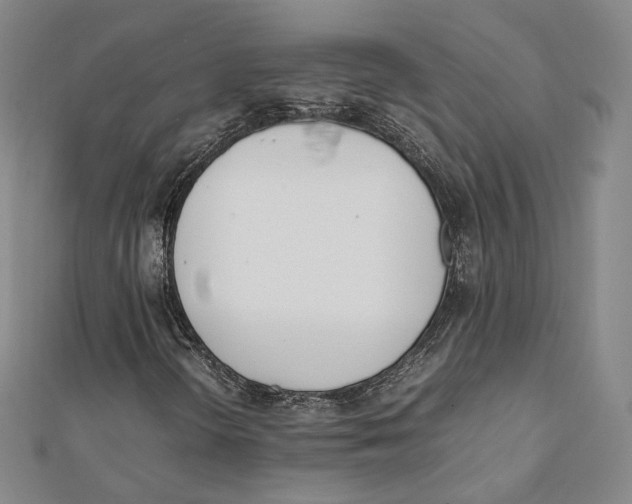 X0000112051298200909010934