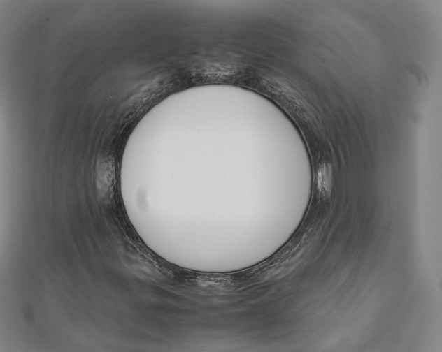 X0000112051299200909010934