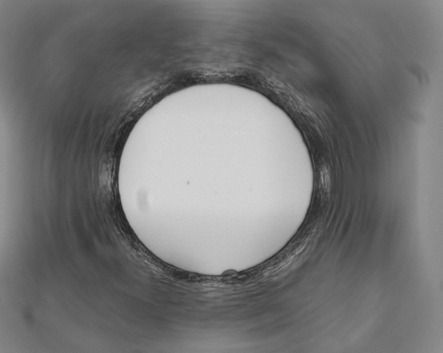 X0000112051300200909010934