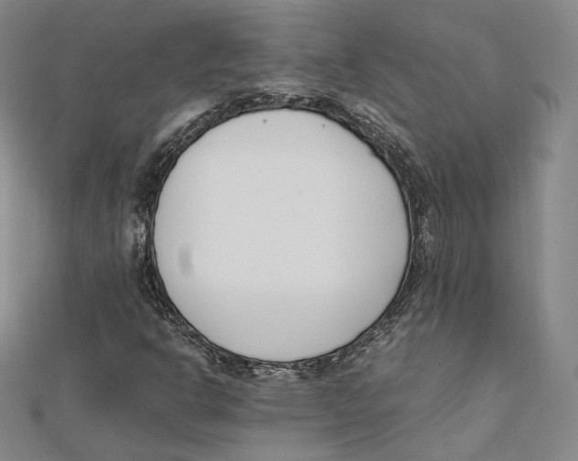 X0000112051302200909010934