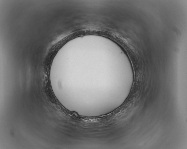 X0000112051303200909010934