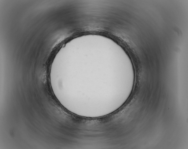 X0000112051306200909010934