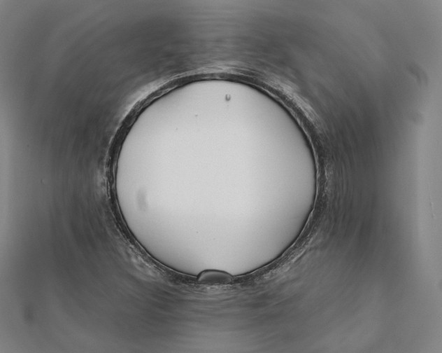 X0000112051308200909010934