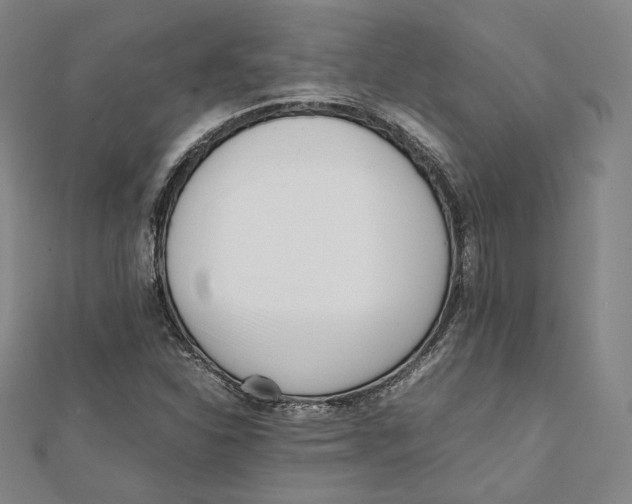 X0000112051310200909010934