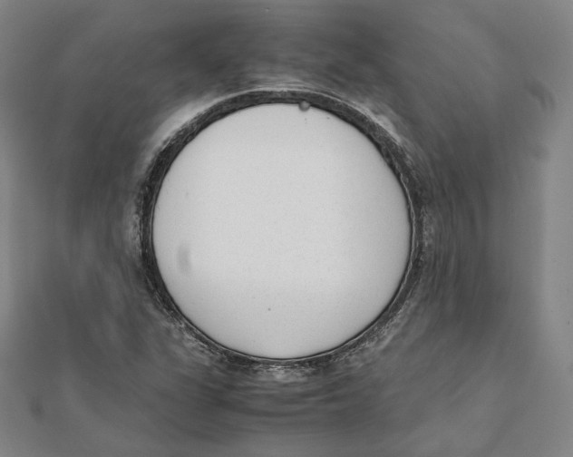 X0000112051311200909010934