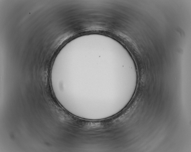 X0000112051313200909010934